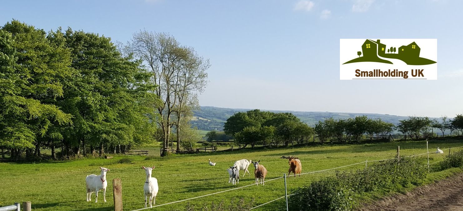Smallholding UK advertise smallholdings equestrian barn conversions