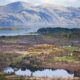 House site and land in Argyll, Scotland